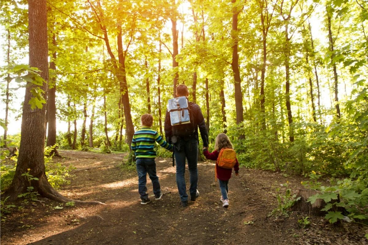 man and two young children holding hangs and walking on a dirt trail through the woods; sun shining through the trees