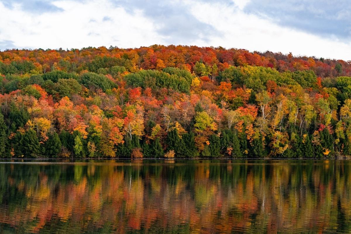 Lake with a dense woodland of evergreen and fall trees (with red, orange, and gold leaves) behind it and reflected in the water. Light blue sky with white clouds are overhead.