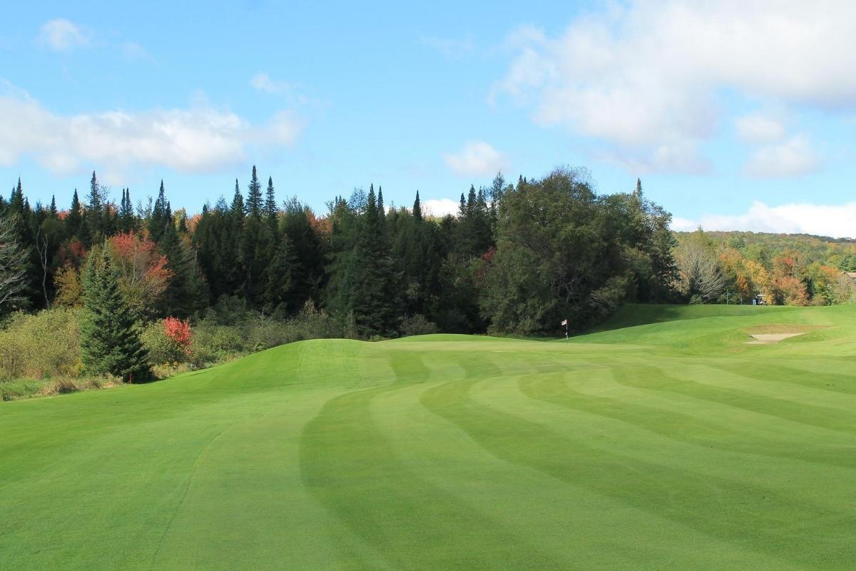 Golf course fairway with manicured greens in the foreground, small flag and sand trap to the right, and dense trees (both evergreens and trees with red, orange, and gold leaves, in the background)