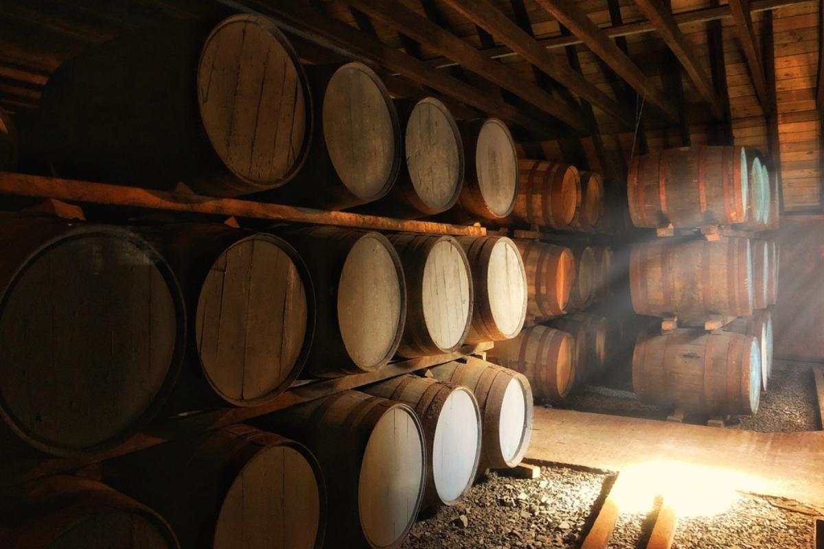 Rows of wooden barrels on their sides on shelves in a dusty wooden warehouse room with gravel floor and a few rays of sunlight shining in from the right.