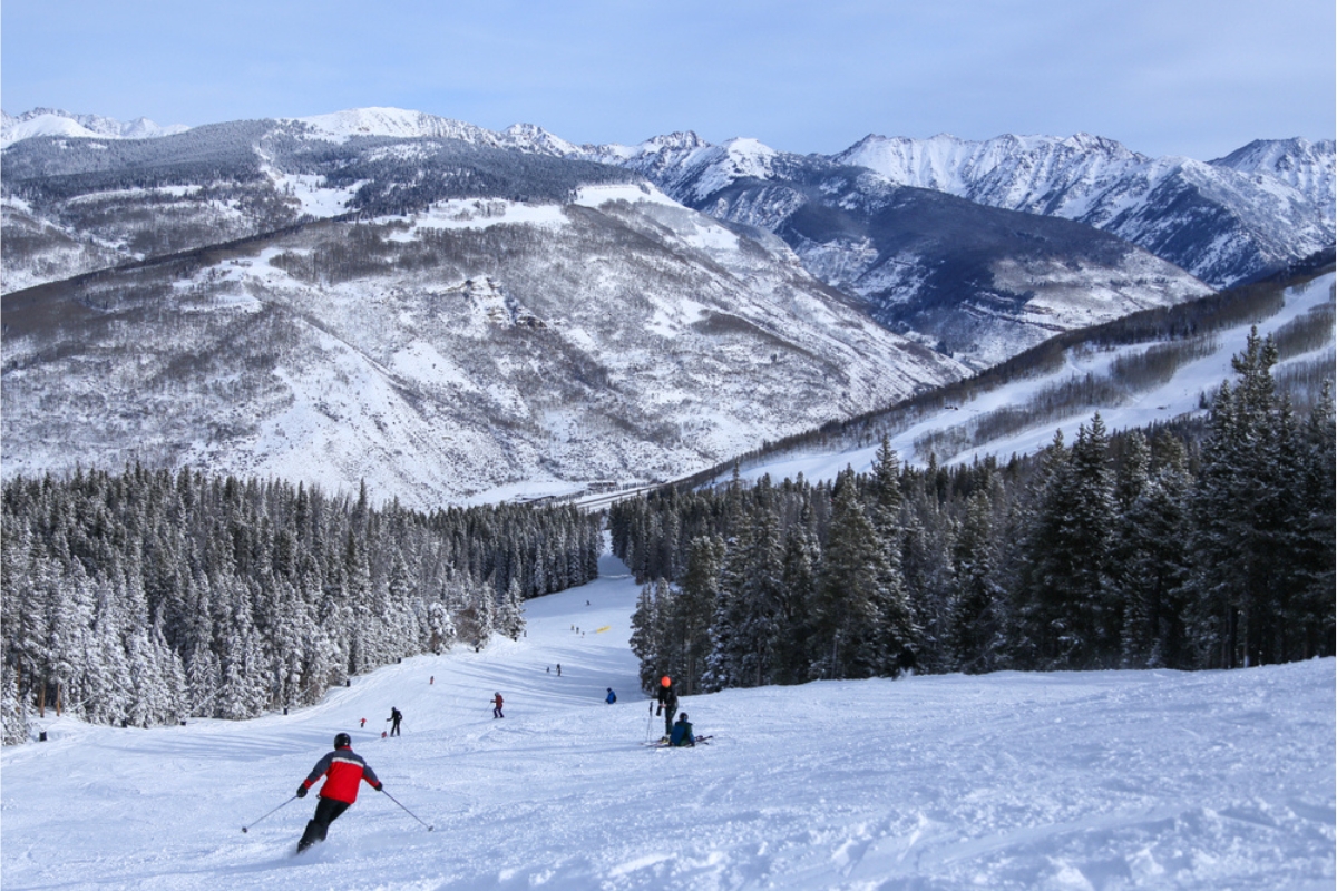 Skiers on snow-covered Vail Mountain trail, lined wit evergreen trees and more snowy mountains in the background.