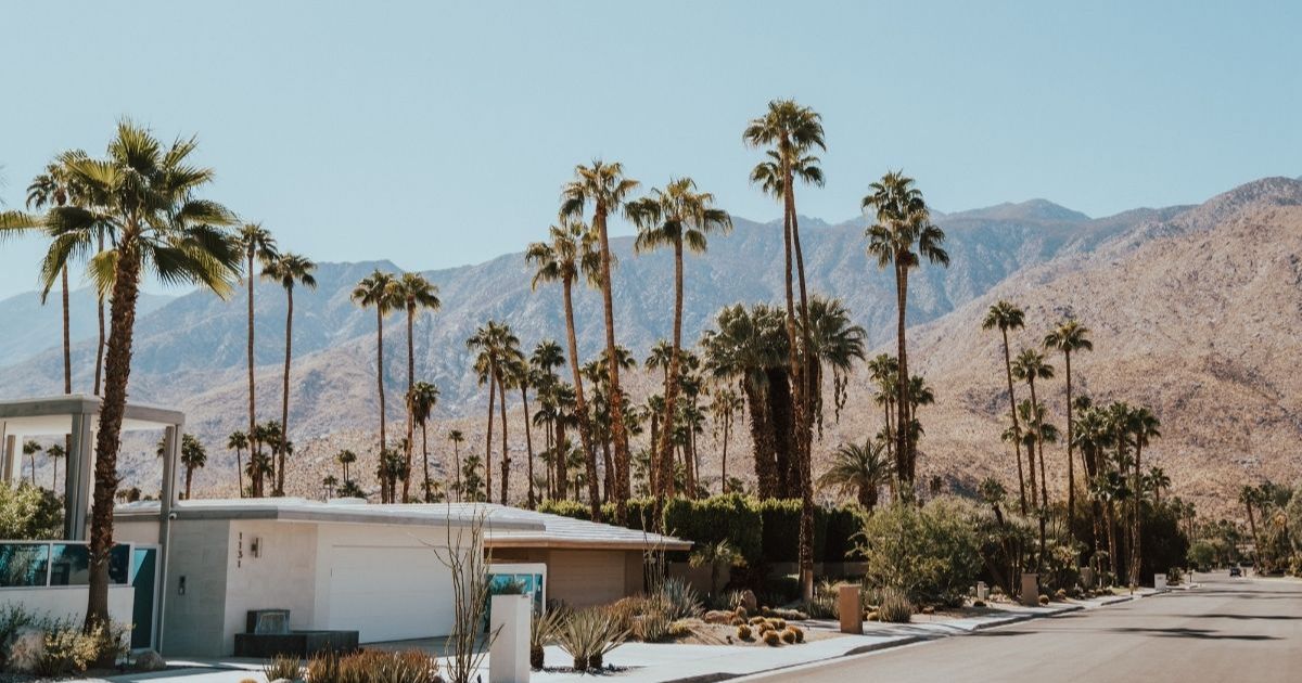 A residential street in Palm Springs with a Mid-Century Modern home surrounded by tall palm trees. Large mountains line the background and the sky is a hazy light blue.