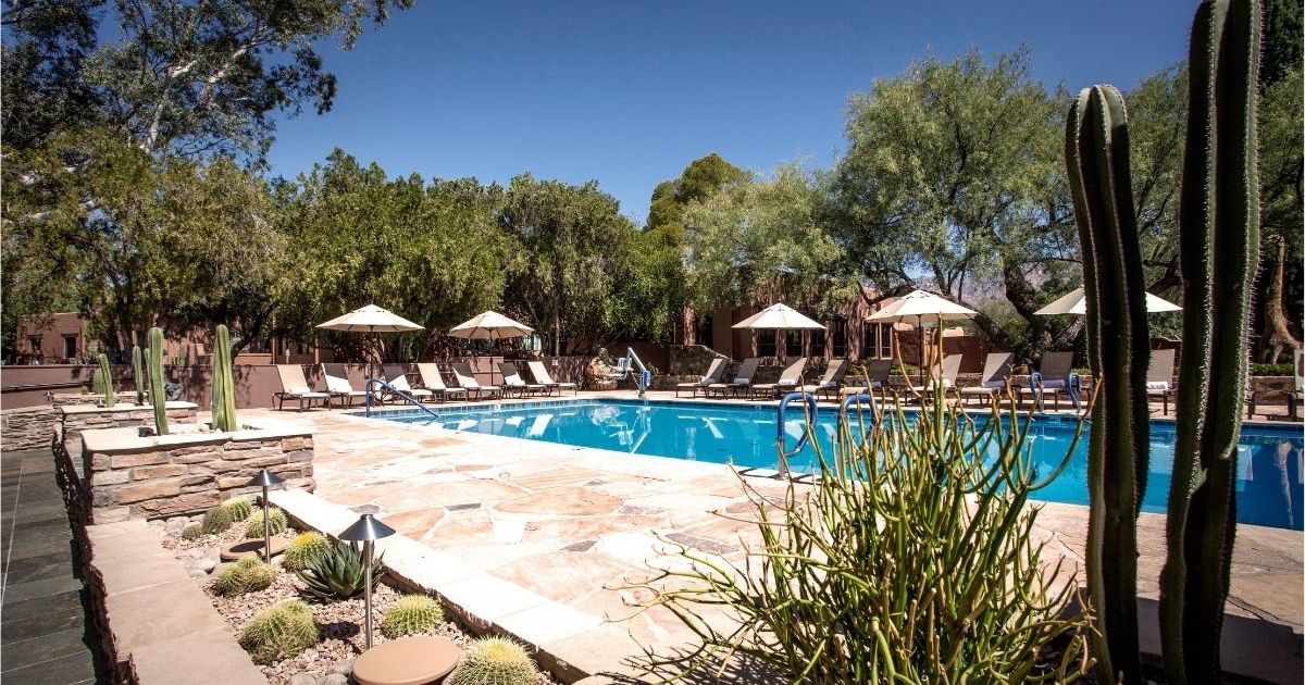 In-ground pool surrounded by stone walkways, beach chairs, cream-colored umbrellas, and a variety of cacti. Green trees line the background and the sky is deep blue.